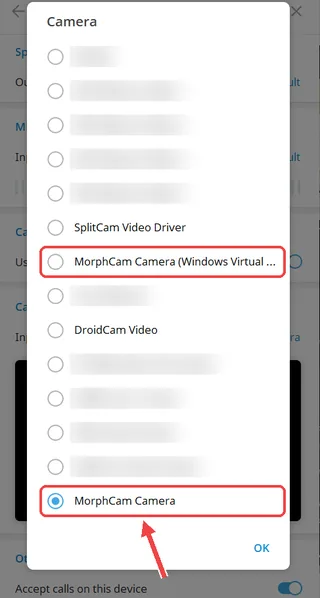 Telegram camera list with MorphCam Camera selected