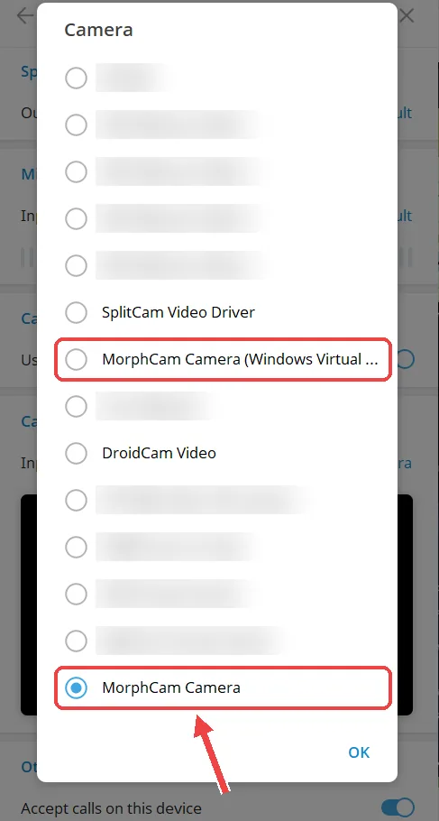 Telegram camera list with MorphCam Camera selected